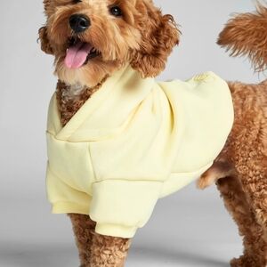 Comfrt Minimalist Paw Hoodie